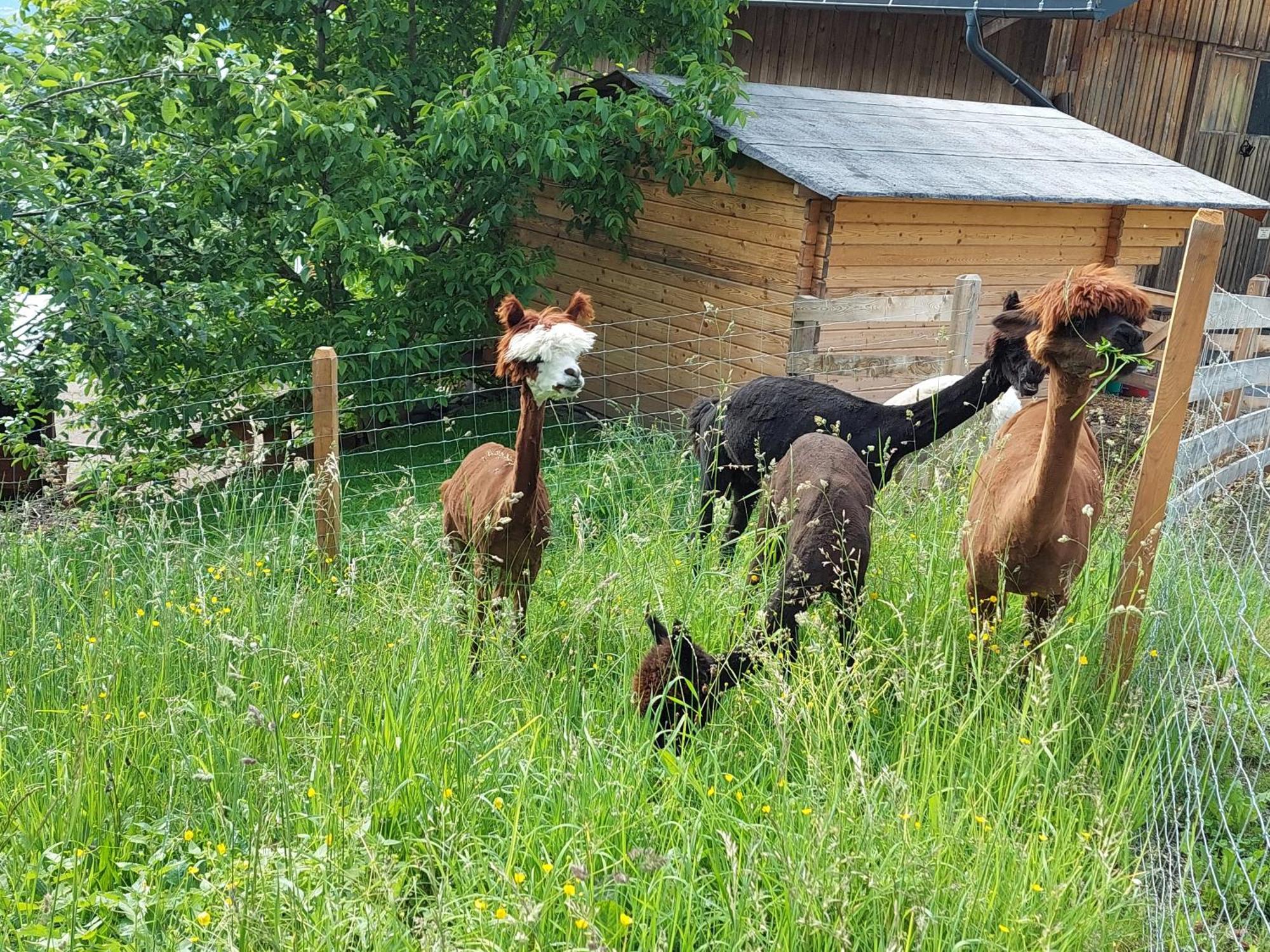 Willa Klockergut Sankt Veit im Pongau Zewnętrze zdjęcie